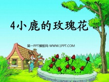 《小鹿的玫瑰花》PPT课件4-第一PPT