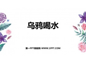 《乌鸦喝水》PPT精品免费课件-第一PPT