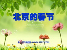 《北京的春节》PPT课件-第一PPT