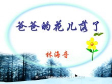《爸爸的花儿落了》PPT课件2-第一PPT