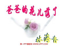 《爸爸的花儿落了》PPT课件6-第一PPT