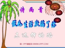 《假如生活欺骗了你》《未选择的路》PPT课件5-第一PPT