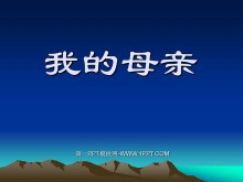 《我的母亲》PPT课件2-第一PPT