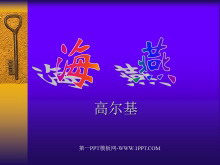 《海燕》PPT课件-第一PPT