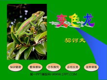 《变色龙》PPT课件下载-第一PPT