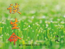 《谈生命》PPT课件-第一PPT