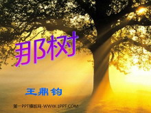 《那树》PPT课件2-第一PPT