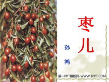 《枣儿》PPT课件3-第一PPT