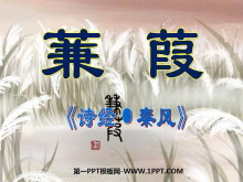 《蒹葭》PPT课件-第一PPT