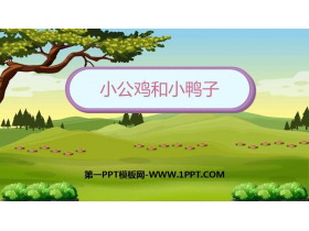 《小公鸡和小鸭子》PPT课文课件下载-第一PPT