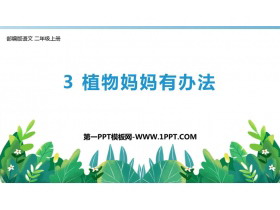 《植物妈妈有办法》PPT优秀教学课件下载-第一PPT
