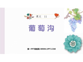 《葡萄沟》PPT免费教学课件-第一PPT