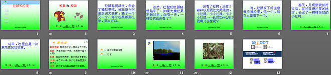 图片[2]-《松鼠和松果》PPT课件2-第一PPT