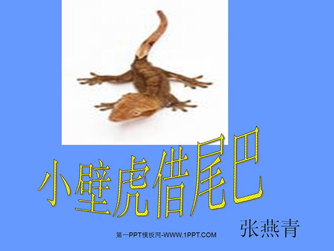图片[1]-《小壁虎借尾巴》PPT课件2-第一PPT
