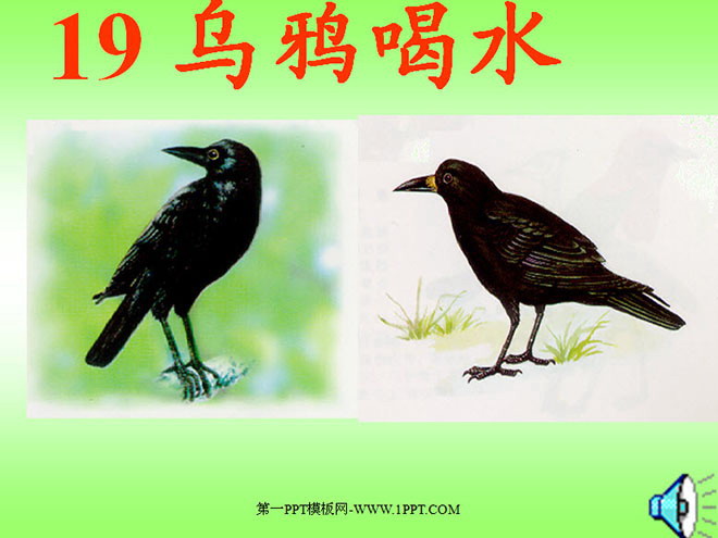 图片[1]-《乌鸦喝水》PPT课件3-第一PPT