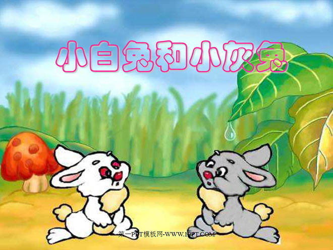 图片[1]-《小白兔和小灰兔》PPT课件-第一PPT
