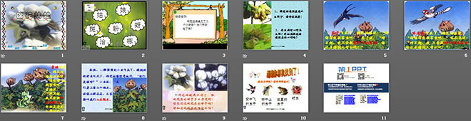 图片[2]-《棉花姑娘》PPT课件3-第一PPT