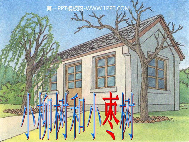 图片[1]-小柳树和小枣树-第一PPT