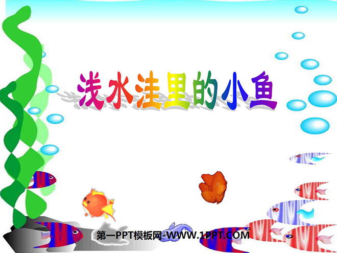 图片[1]-《浅水洼里的小鱼》PPT教学课件下载-第一PPT