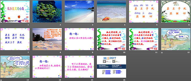 图片[2]-《浅水洼里的小鱼》PPT教学课件下载-第一PPT