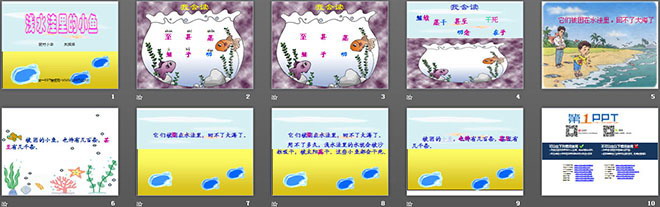 图片[2]-《浅水洼里的小鱼》PPT教学课件下载3-第一PPT