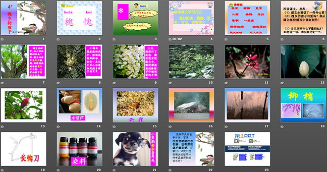 图片[2]-《槐乡的孩子》PPT教学课件下载-第一PPT