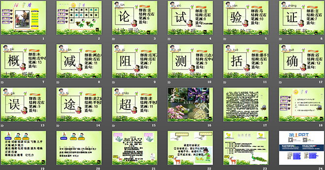 图片[2]-《蜜蜂》PPT教学课件下载-第一PPT