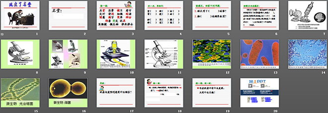 图片[2]-《玩出了名堂》PPT教学课件下载-第一PPT