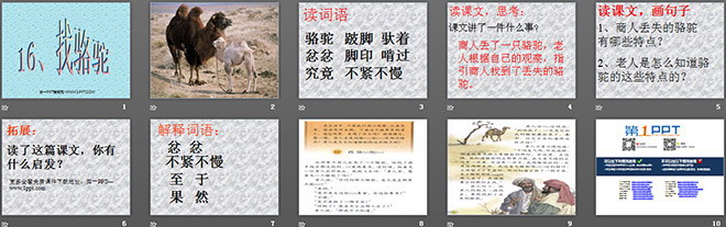 图片[2]-《找骆驼》PPT教学课件下载2-第一PPT