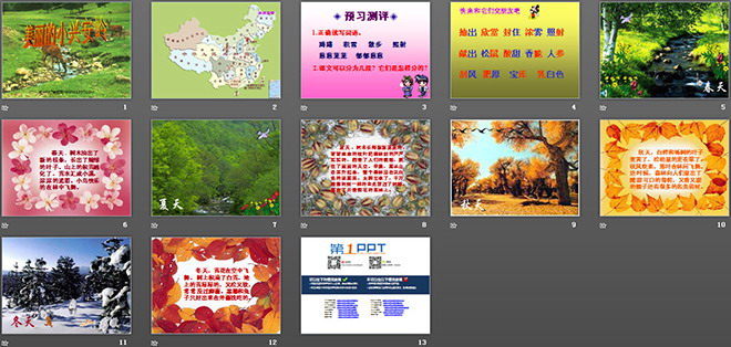 图片[2]-《美丽的小兴安岭》PPT教学课件下载2-第一PPT