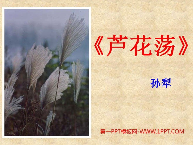 图片[1]-芦花荡-第一PPT