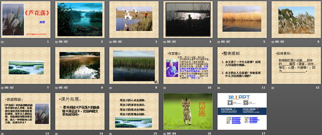 图片[2]-芦花荡-第一PPT