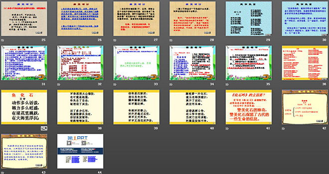图片[3]-《化石吟》PPT课件2-第一PPT
