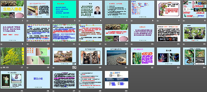 图片[2]-《生物入侵者》PPT课件2-第一PPT