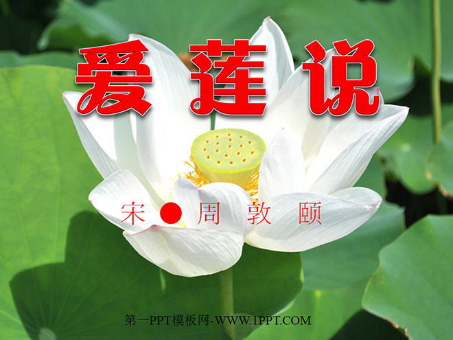 图片[1]-《爱莲说》PPT课件2-第一PPT