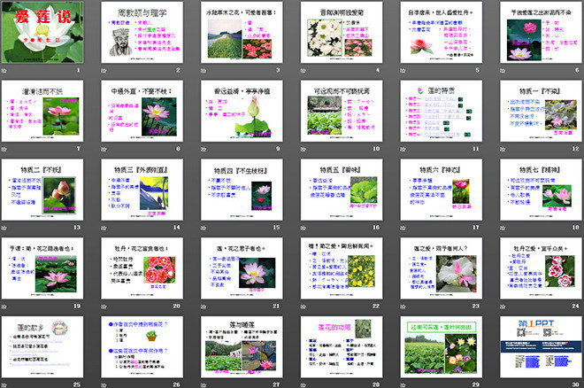图片[2]-《爱莲说》PPT课件2-第一PPT