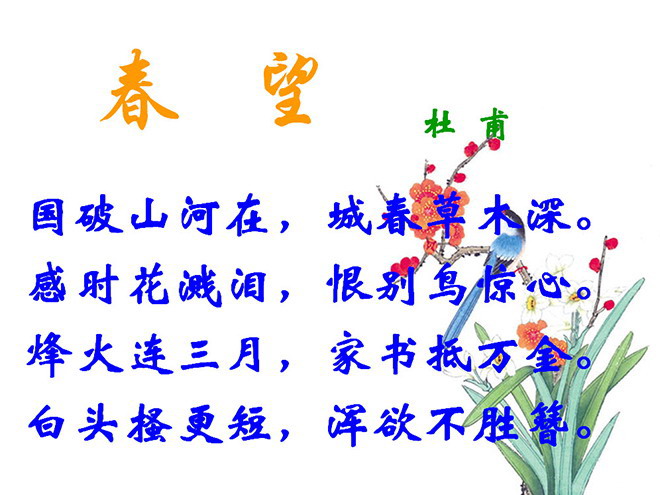 图片[1]-《春望》PPT课件2-第一PPT