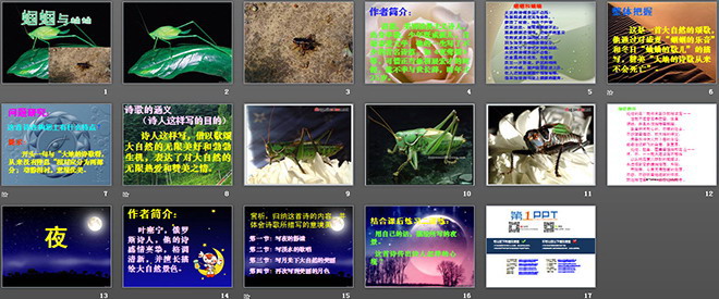 图片[2]-外国诗两首《蝈蝈与蛐蛐、夜》PPT课件-第一PPT