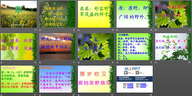 图片[2]-《草》PPT课件-第一PPT