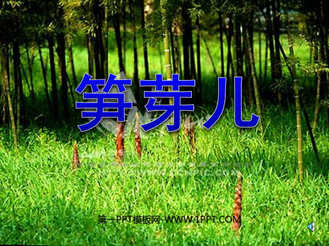图片[1]-《笋芽儿》PPT课件3-第一PPT