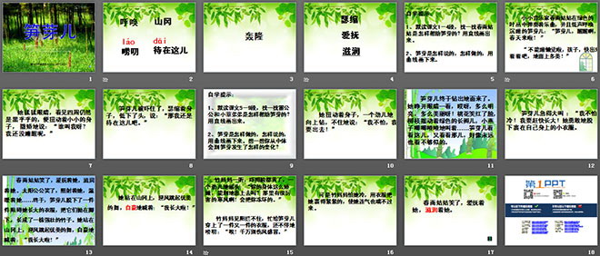 图片[2]-《笋芽儿》PPT课件3-第一PPT