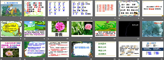 图片[2]-《我不是最弱小的》PPT课件4-第一PPT