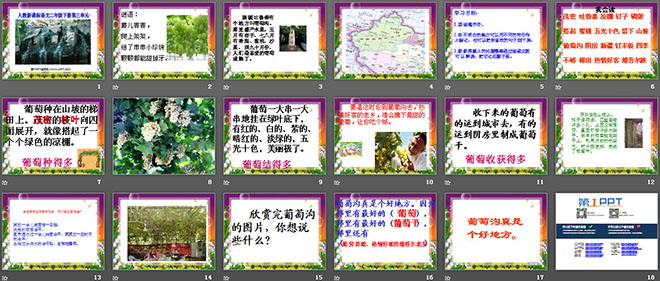 图片[2]-《葡萄沟》PPT课件4-第一PPT