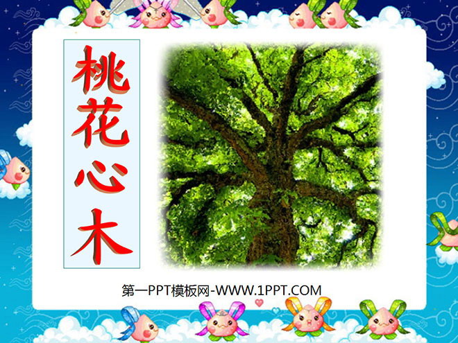 图片[1]-《桃花心木》PPT课件4-第一PPT