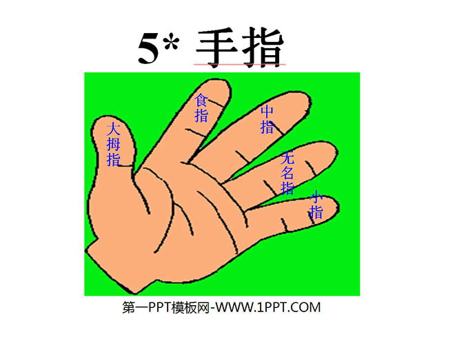 图片[1]-《手指》PPT课件3-第一PPT