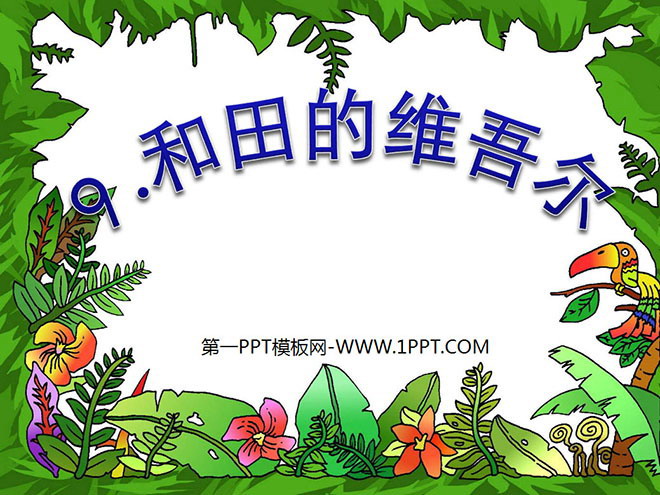 图片[1]-《和田的维吾尔》PPT课件5-第一PPT