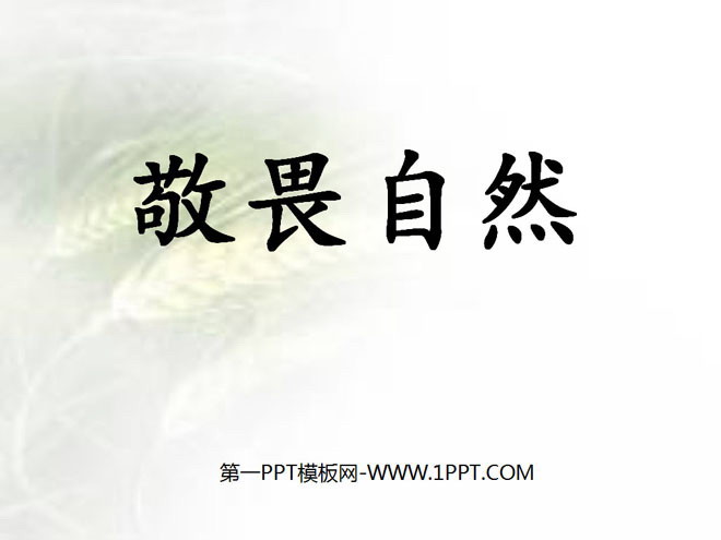 图片[1]-《敬畏自然》PPT课件5-第一PPT
