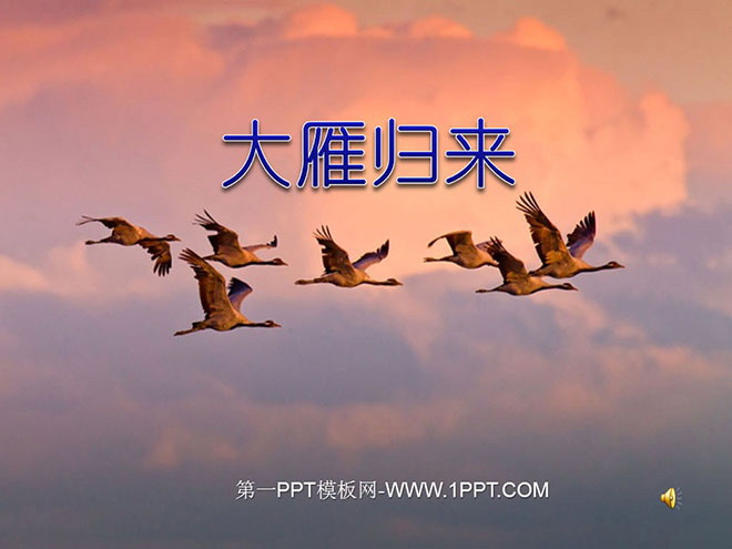 图片[1]-《大雁归来》PPT课件-第一PPT