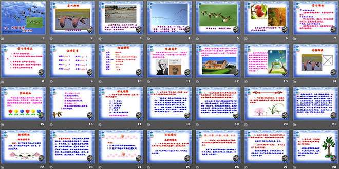 图片[2]-《大雁归来》PPT课件3-第一PPT