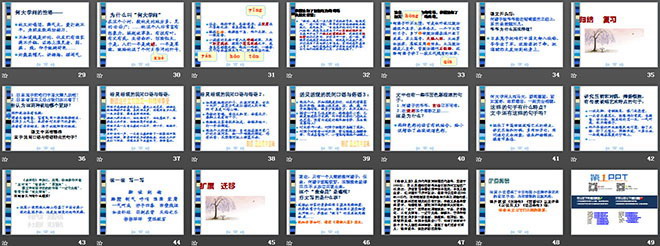 图片[3]-《蒲柳人家》PPT课件2-第一PPT